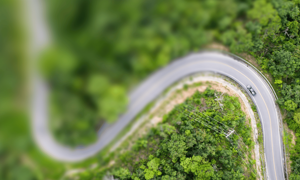 Electric Vehicle Outlook